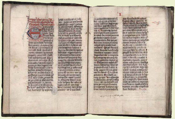 saint_elizabeth_bible.jpg